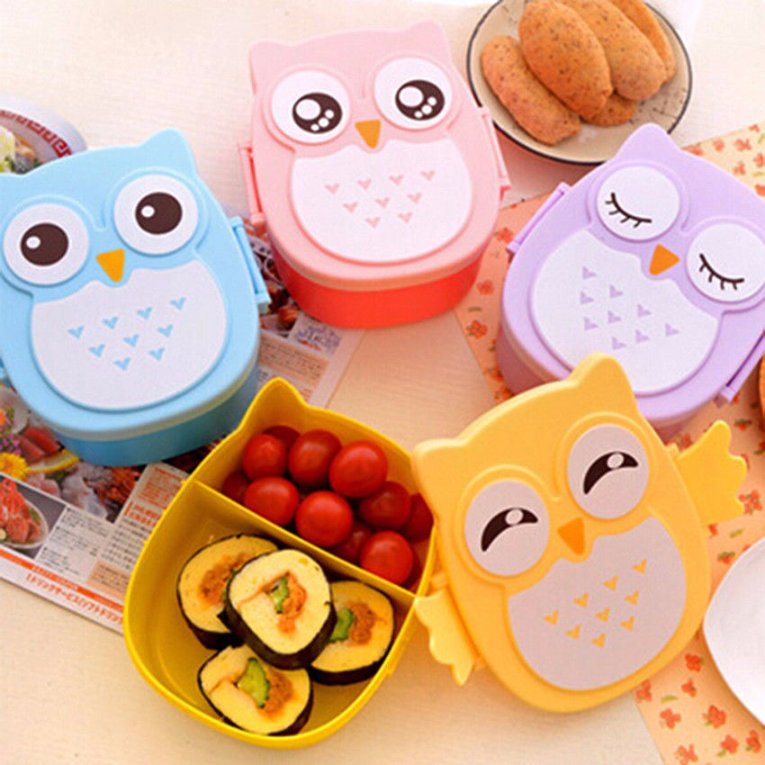 Cute Cartoon Owl Lunch Box