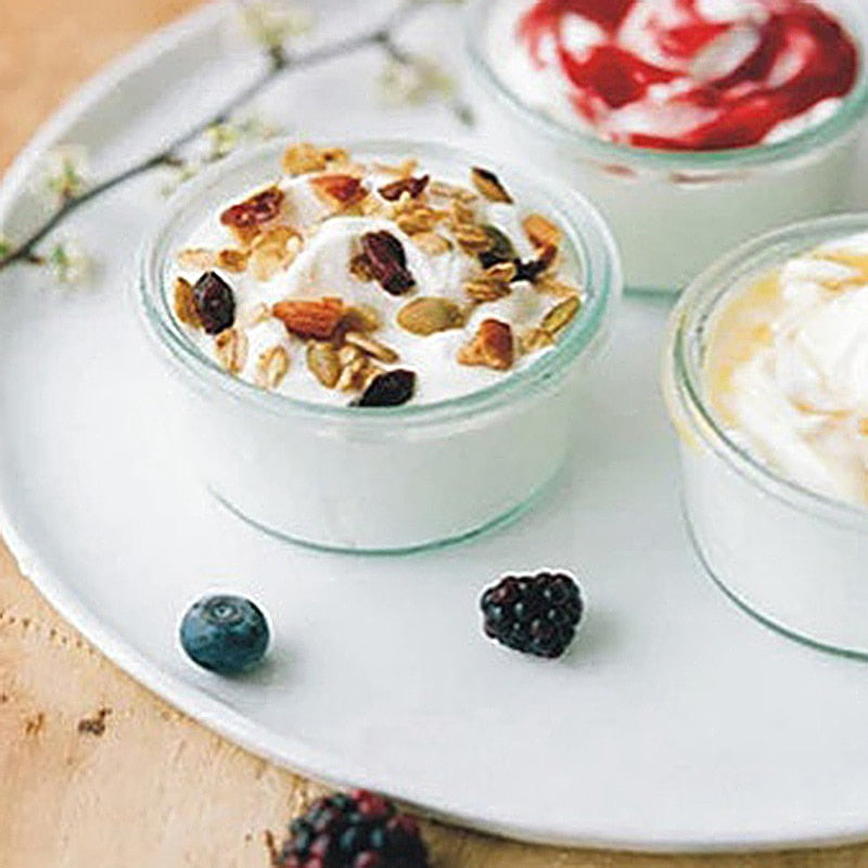 Electric Automatic Yogurt Maker